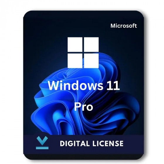 WINDOWS 11 PROFESSIONAL